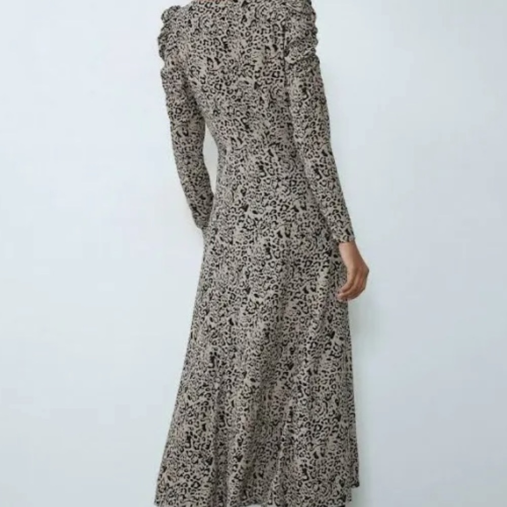 Zara dress